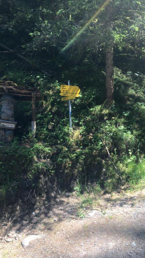 Waldhaus Lechner Steinerkogel Apartman Mayrhofen Kültér fotó